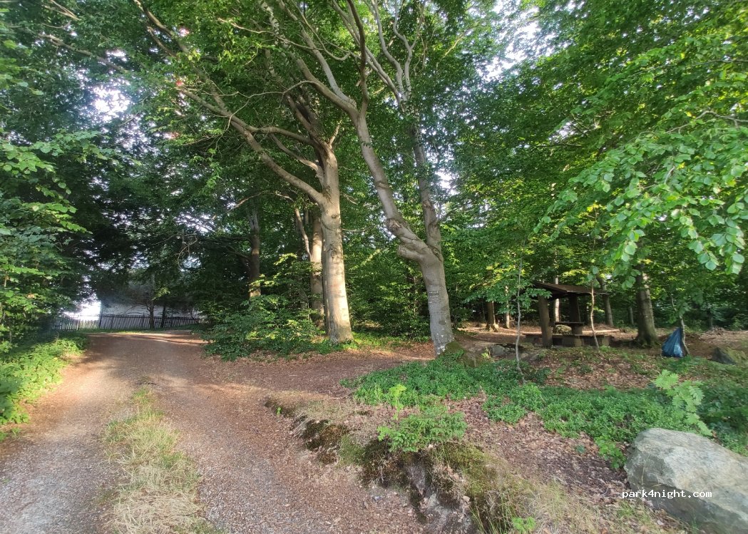 (592 14) Bohdalov - Unnamed Road — foto 2