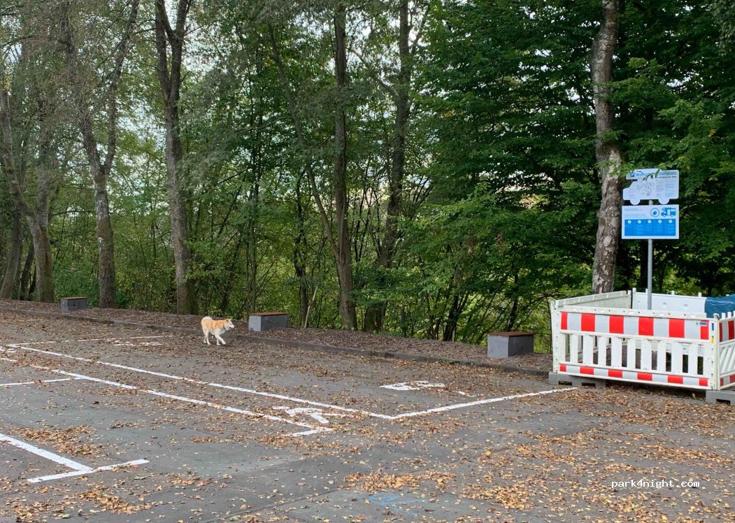 (57271) Hilchenbach - 3A Merklinghäuser Weg — foto 2