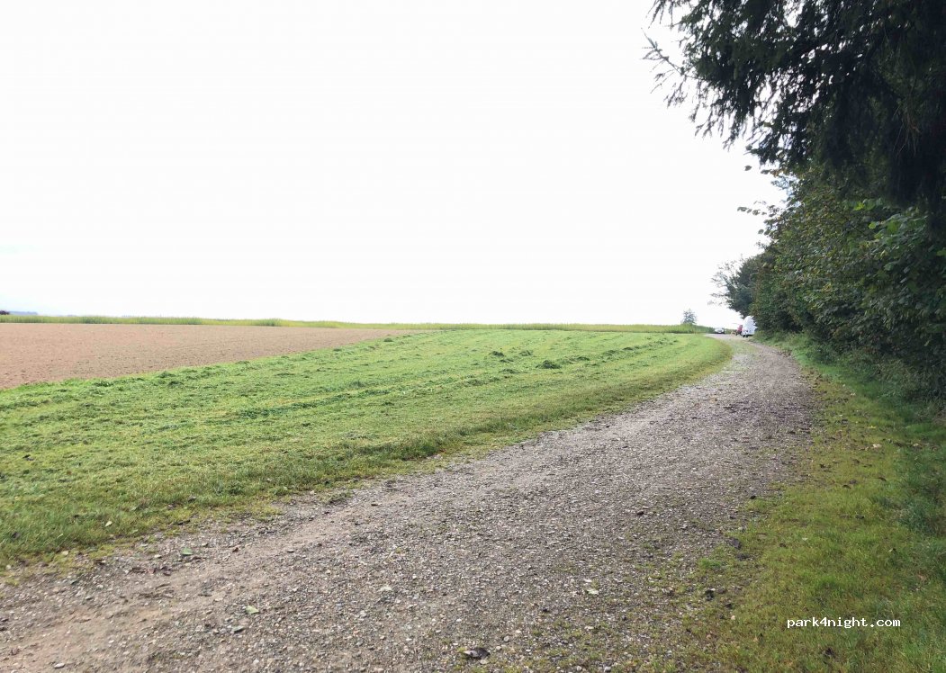 (88416) Ochsenhausen - 2 Längenmoos — foto