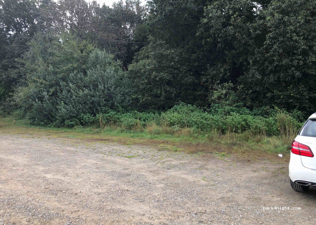 (88416) Ochsenhausen - 2 Längenmoos — foto 2