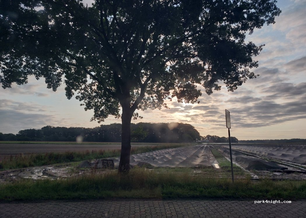 (49685) Emstek - Penkhusener Straße — foto 3