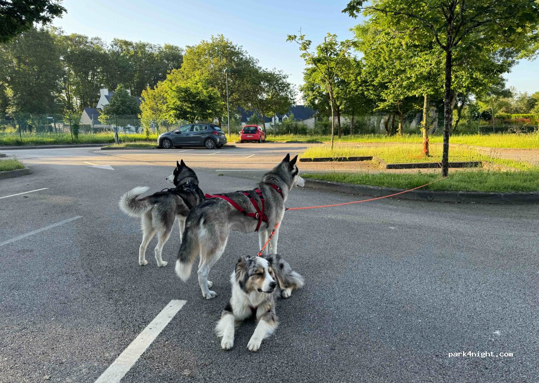 (56370) Sarzeau - 1 Allée des Érables — foto 3