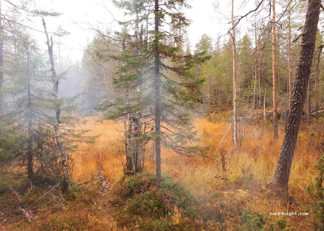 (93280) SYÖTE - Unnamed Road — foto 2