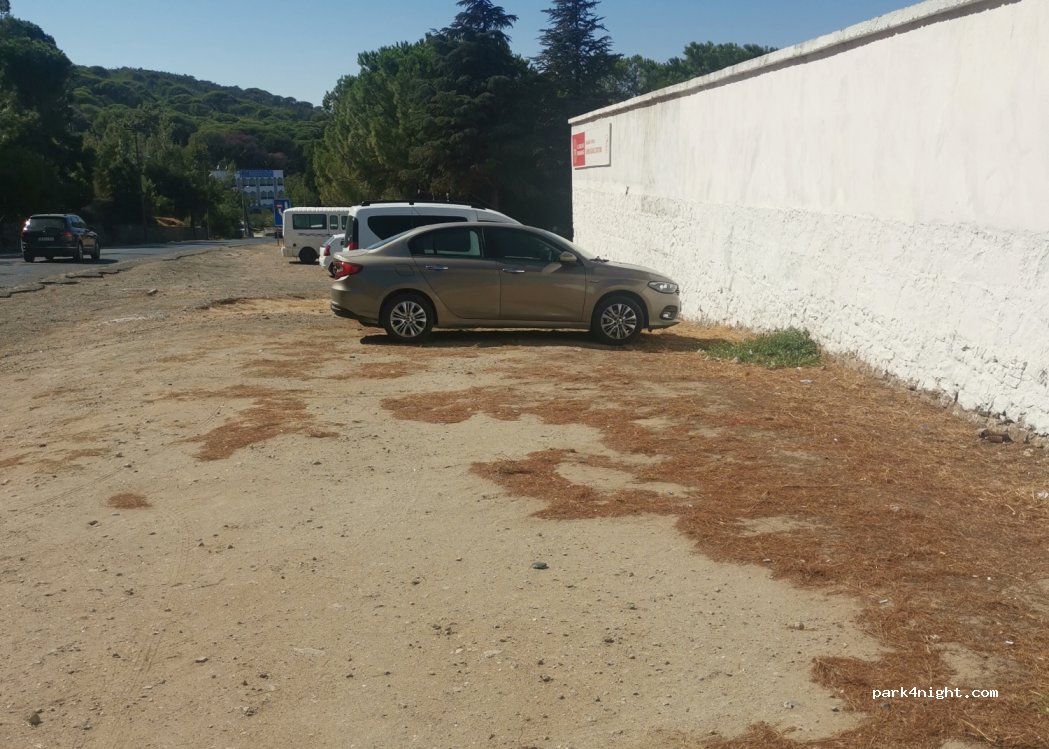 (10400) Ayvalık/Balıkesir - 46 Ayvalık-İzmir Asfaltı — foto