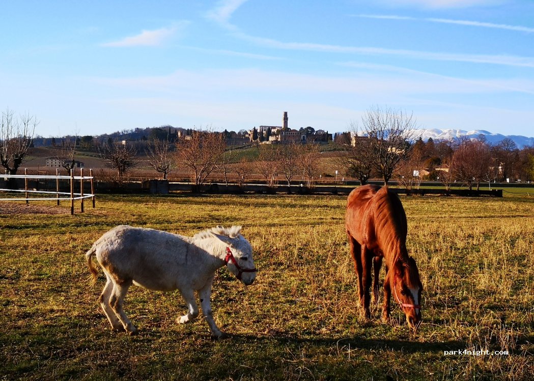 (31058) Susegana - 3 Via San Salvatore — foto 2
