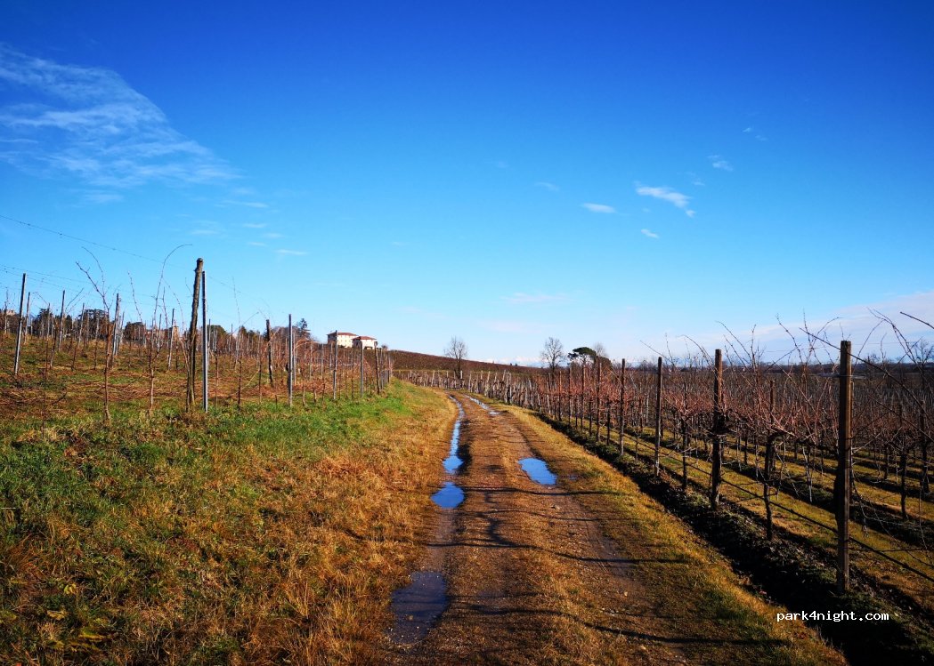 (31058) Susegana - 3 Via San Salvatore — foto 4