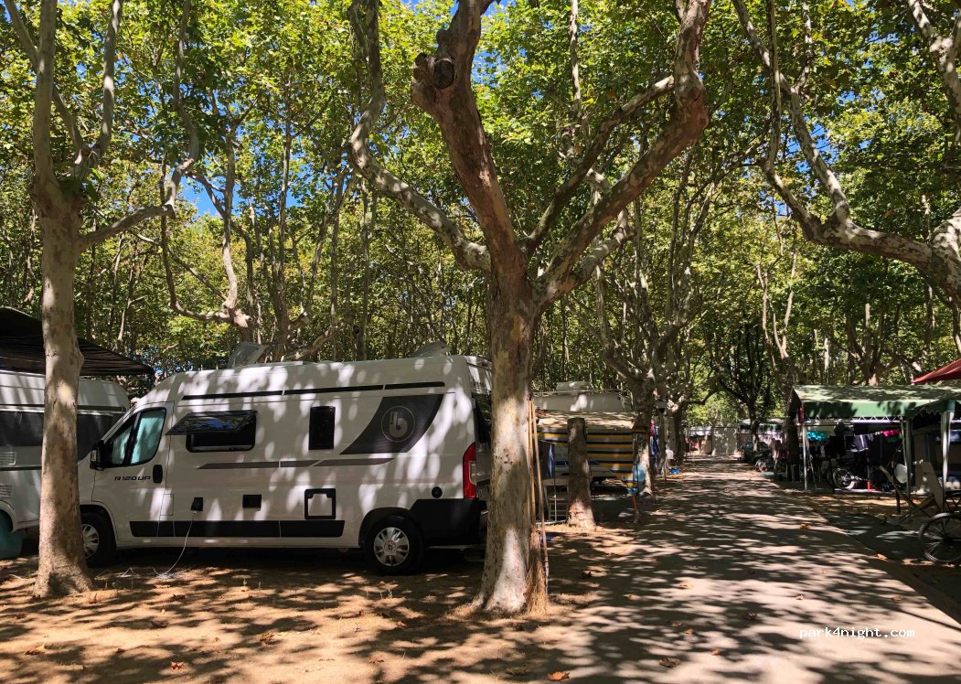 Camping Safari — foto 2