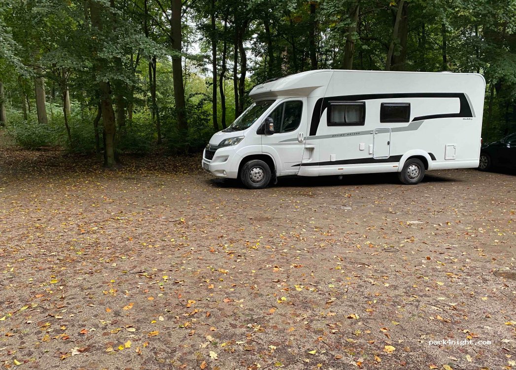(5250) Odense - 35 Skovalleen — foto