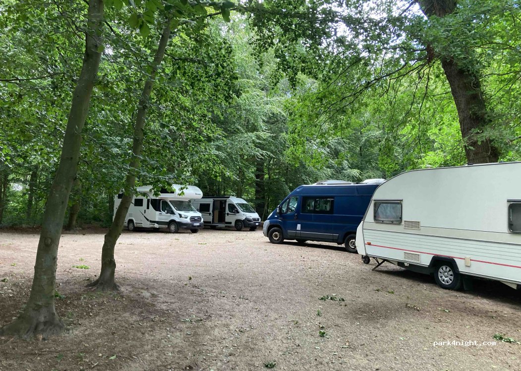 (5250) Odense - 35 Skovalleen — foto 4