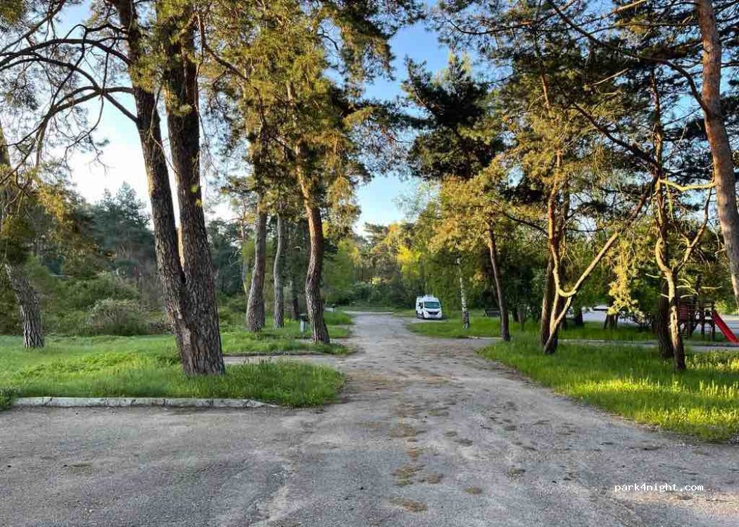 (87-820) Przydatki Gołaszewskie - — foto 3