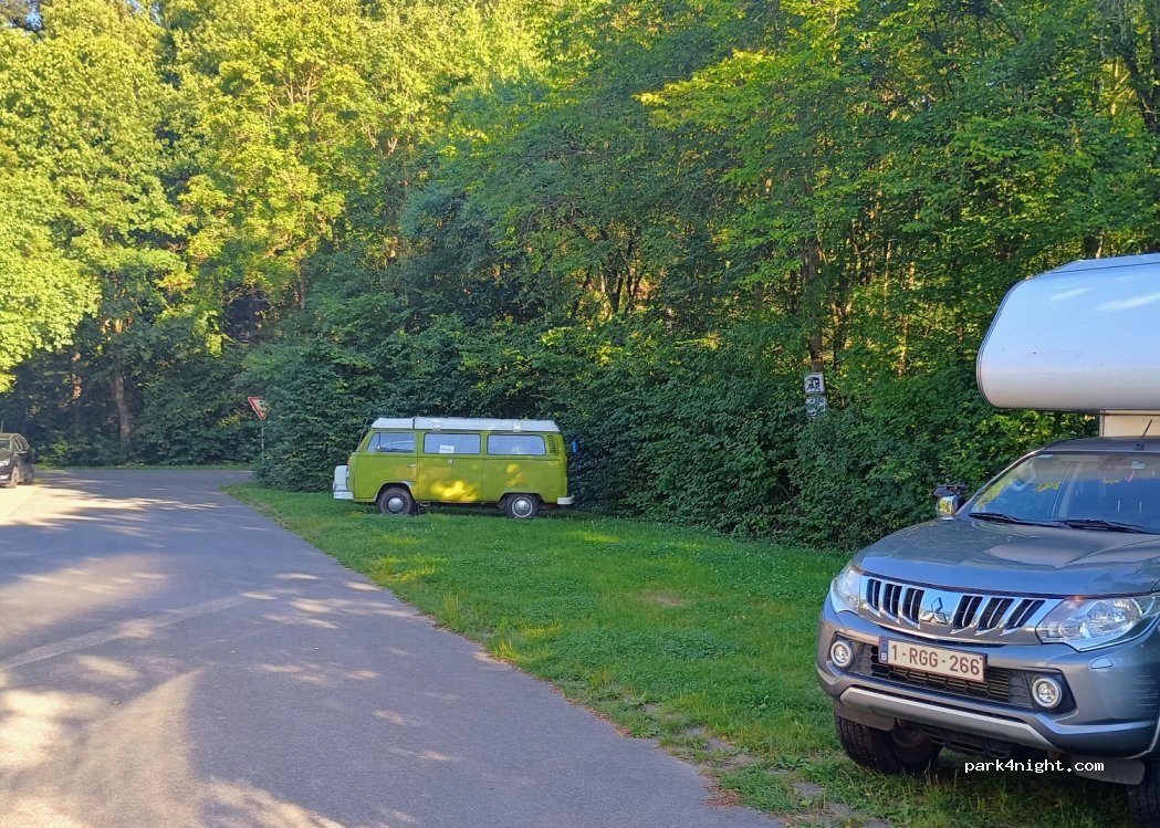 Wohnmobil Stellplatz Eisweiher — foto 5