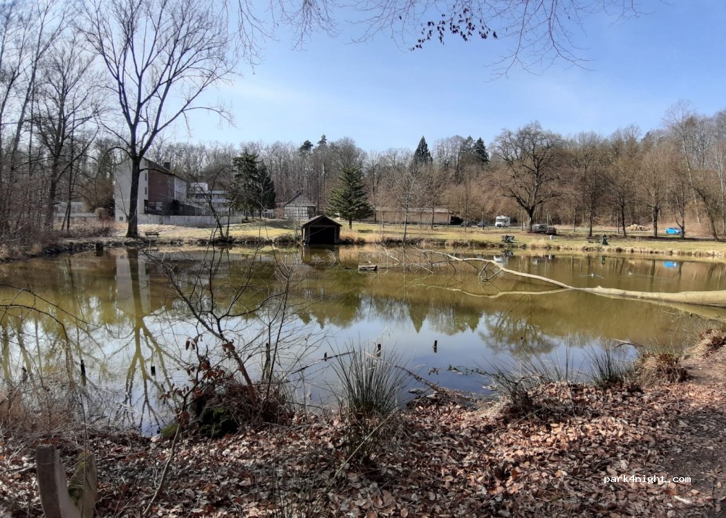 (34613) Schwalmstadt - 2 Schützenwald — foto 3