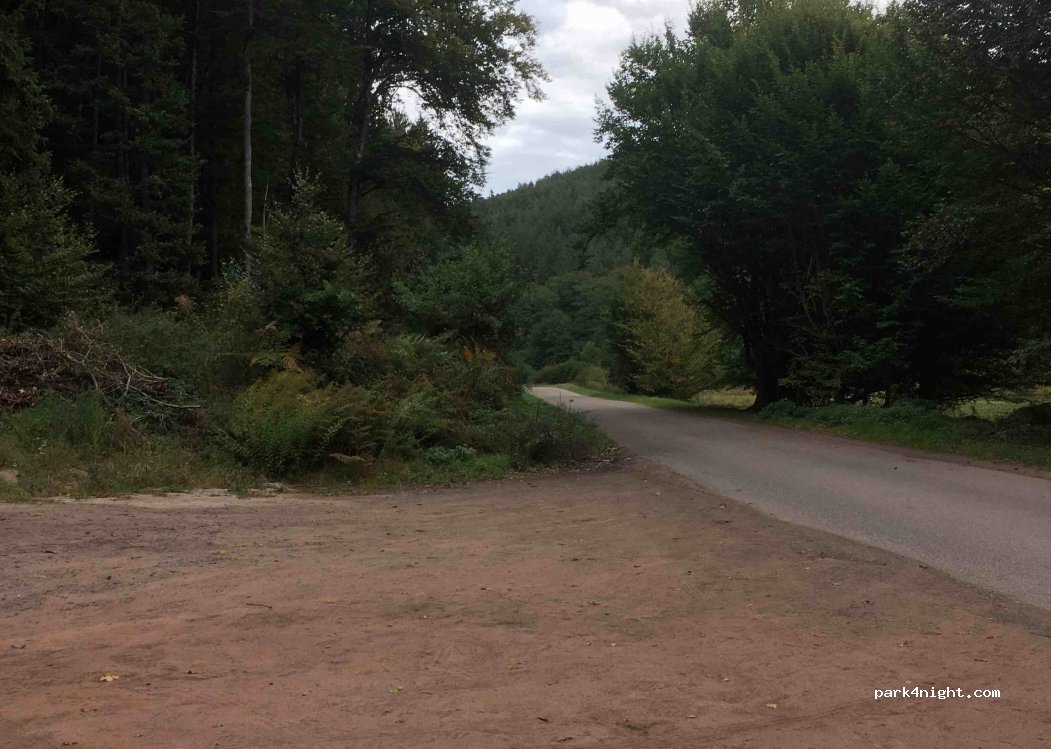 (66994) Dahn - — foto 3