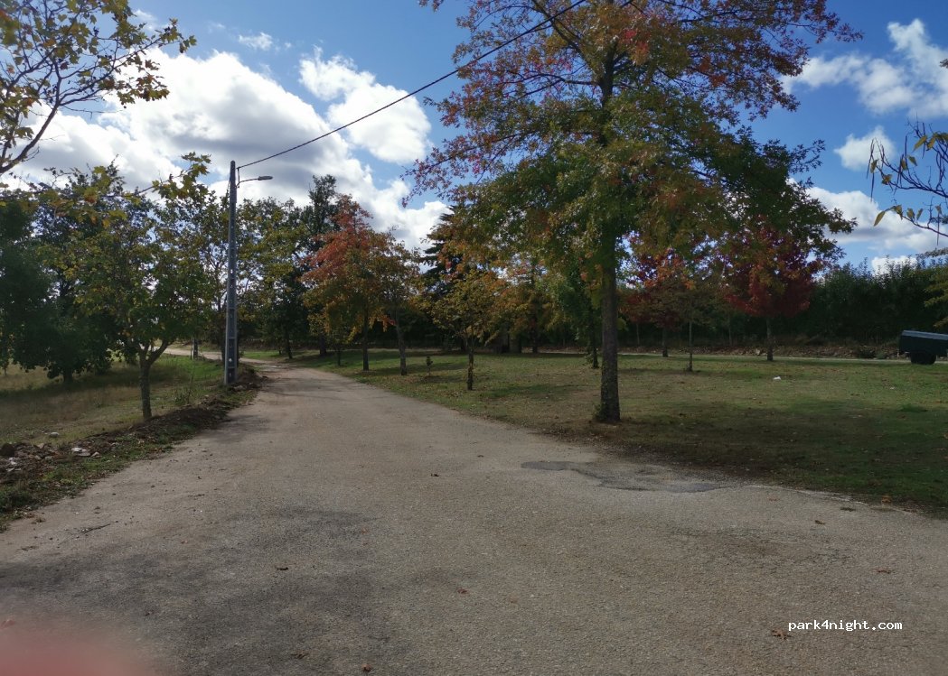 (5110) Santa Cruz - — foto