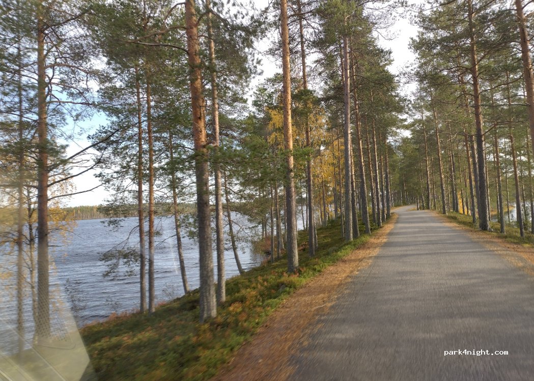 (68410) Alaveteli - 203 Seljesharju — foto