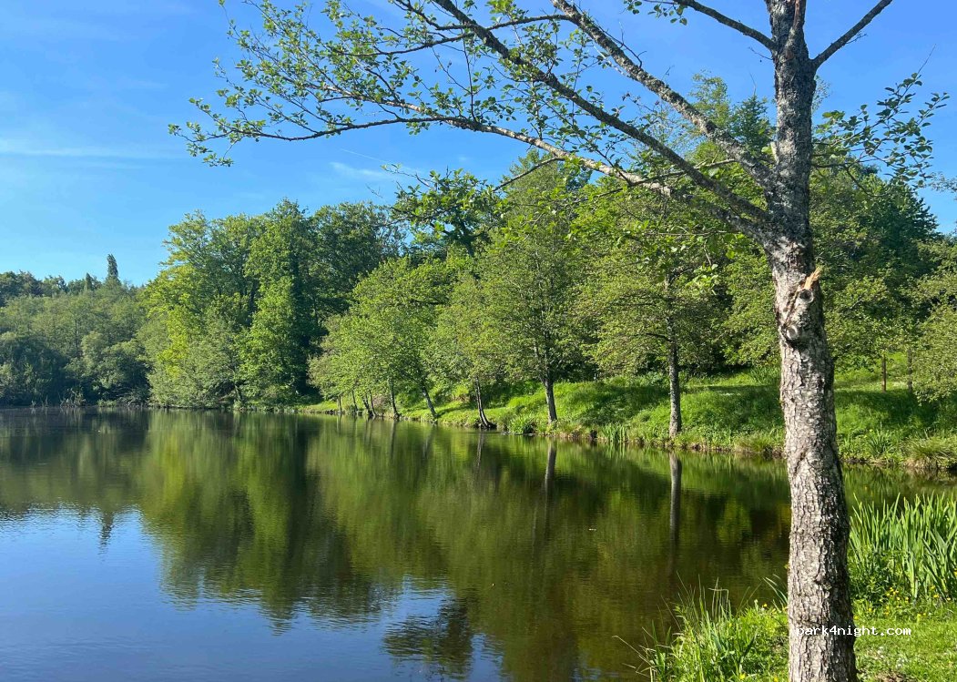 (24450) Saint-Pierre-de-Frugie - — foto 4