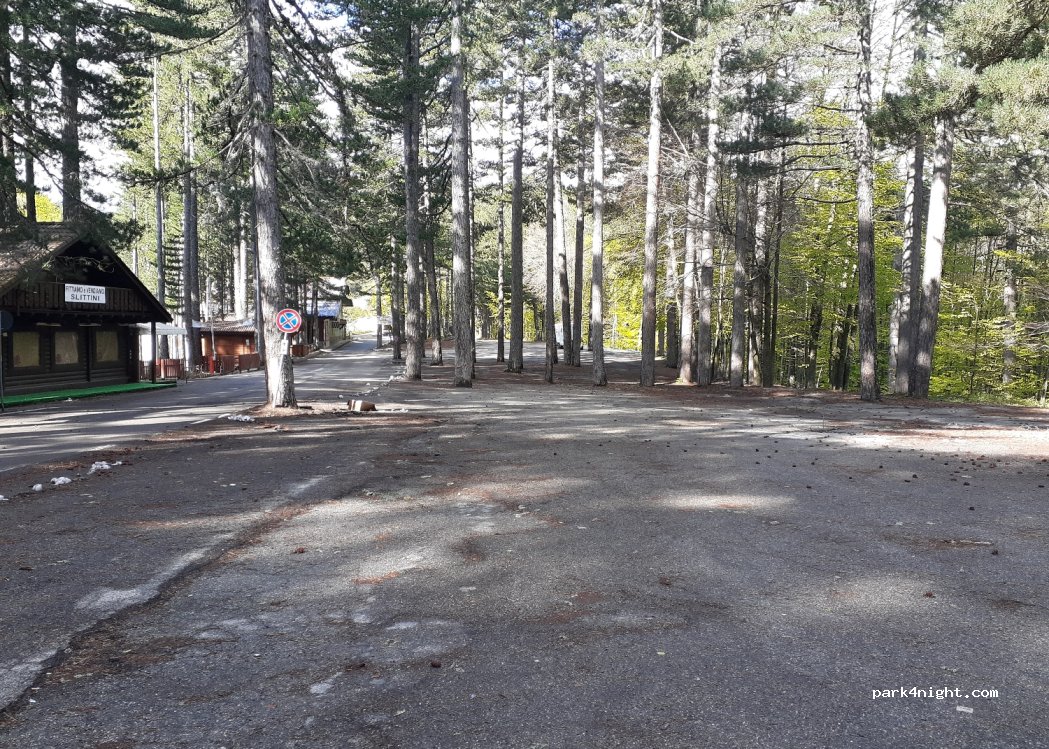 (87058) Camigliatello Silano - Strada Provinciale 249 — foto 3