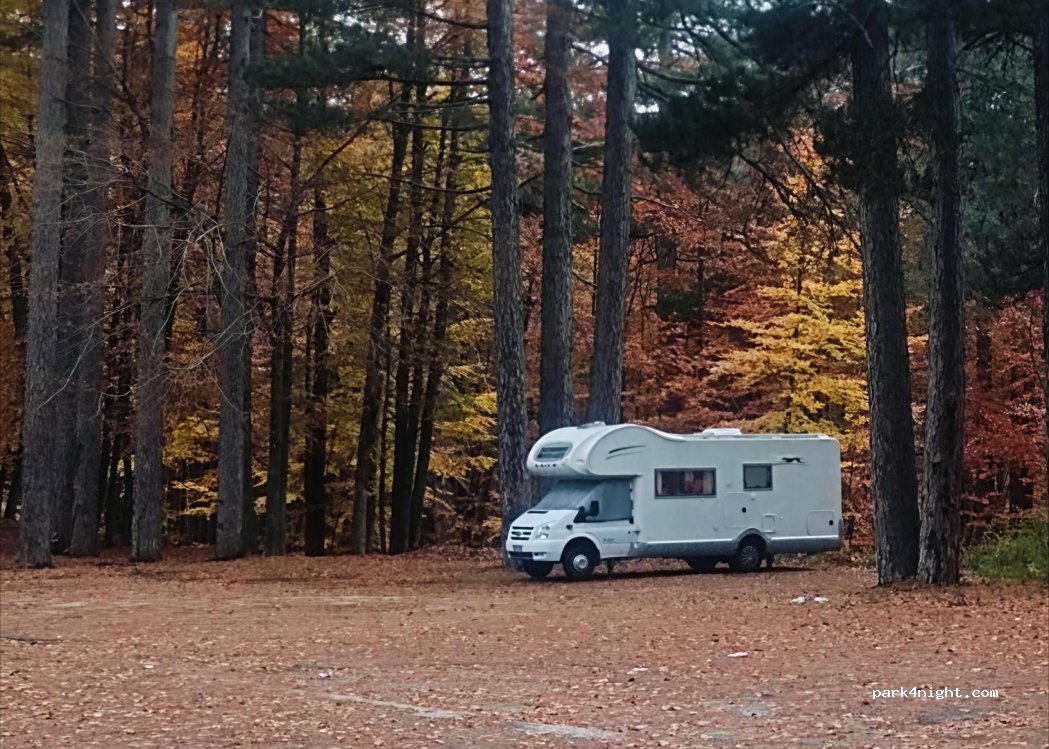 (87058) Camigliatello Silano - Strada Provinciale 249 — foto 5