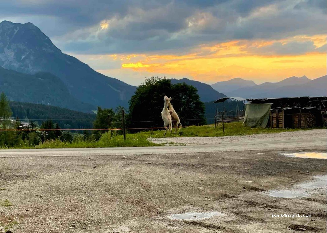 (5524) Annaberg im Lammertal - Parkplatz Pommer — foto 3