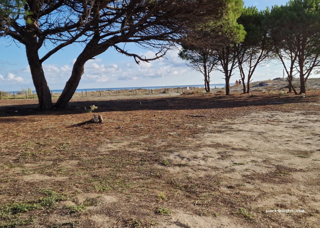 (08020) Budoni - 80 Via dei Lidi — foto 4