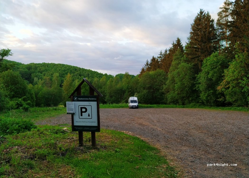 (58-321) Zagórze Śląskie - 7-1 Spacerowa — foto
