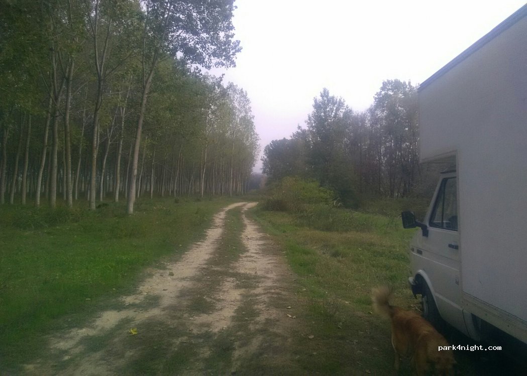 (12051) Alba - — foto 2