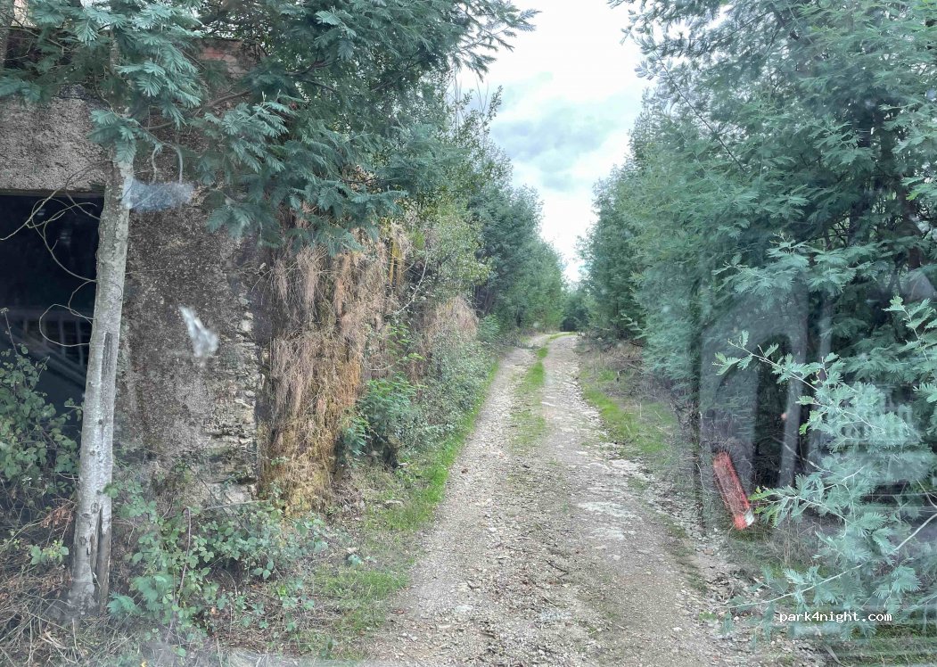 (3360) Penacova - Unnamed Road — foto 2