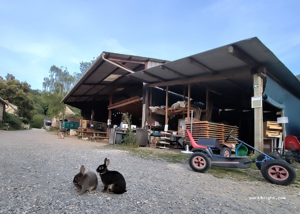 Camping La Forêt du Morvan — foto 4