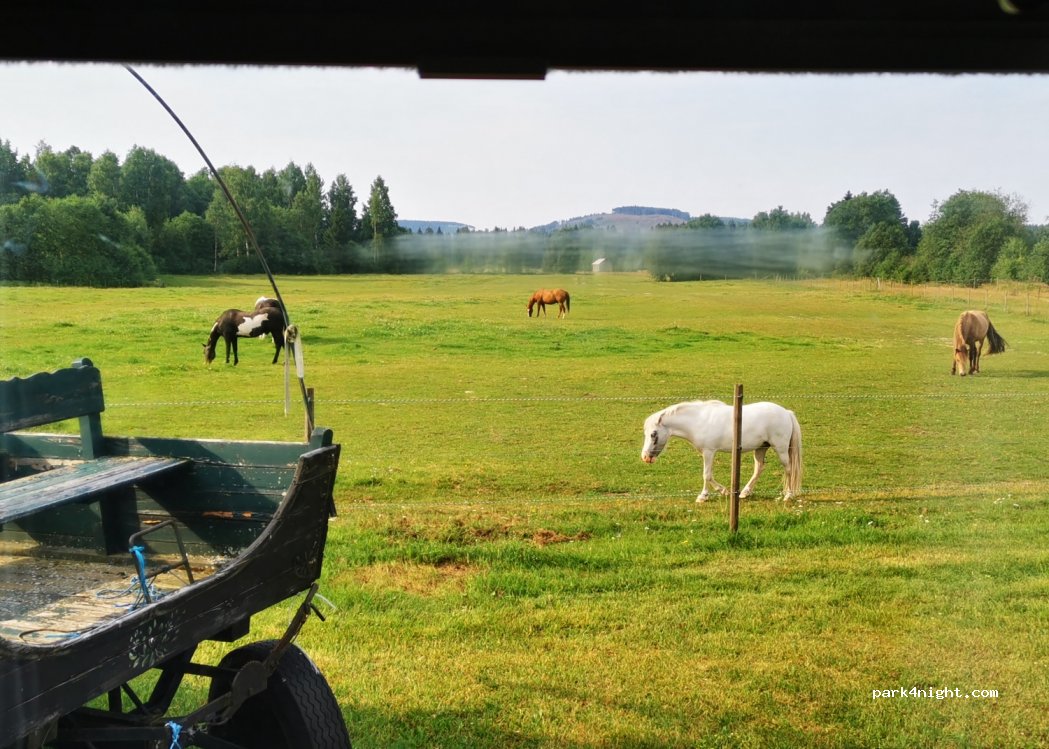Sun Dance Ranch — foto 4