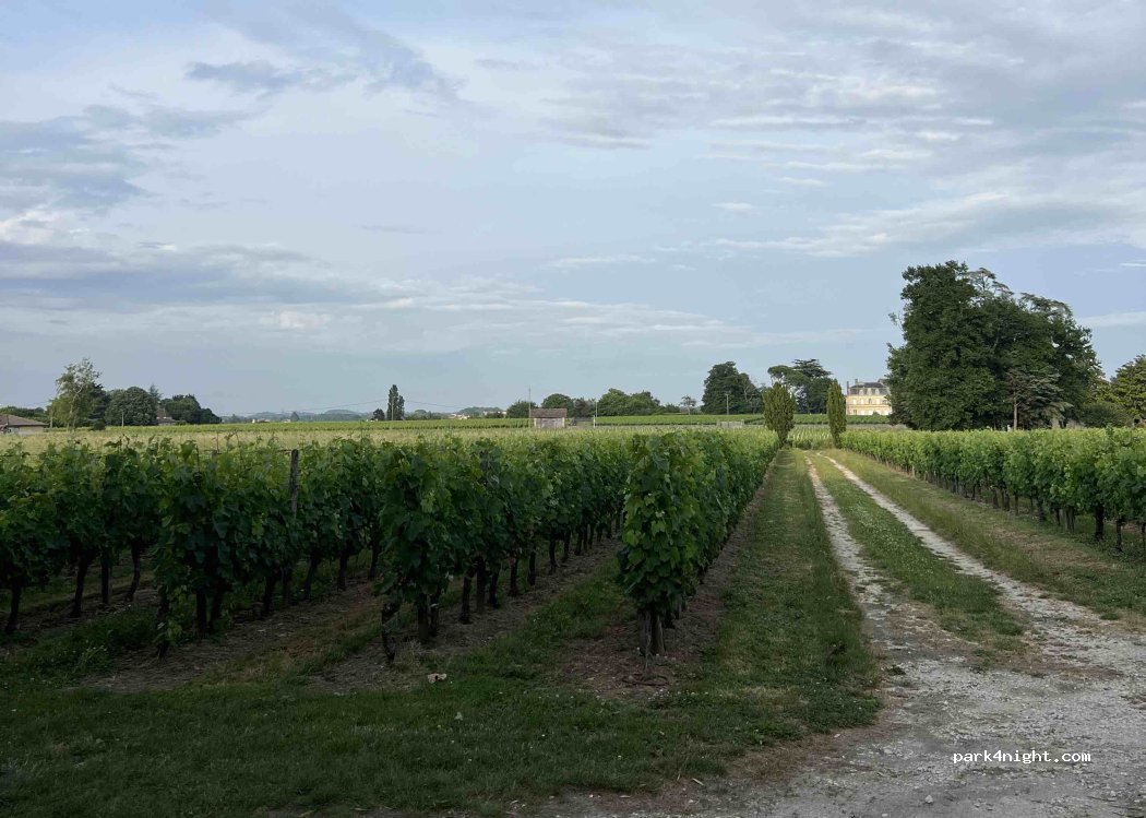 Château Du Bois Dumas — foto 5