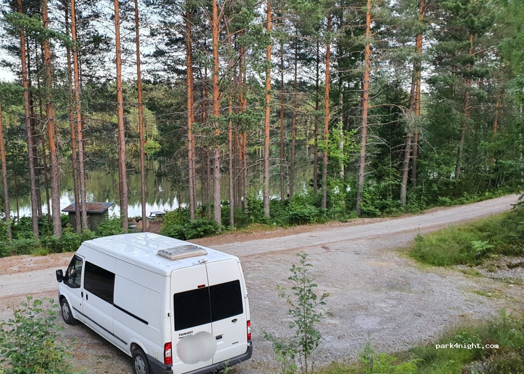 (820 29) Stråtjära - 111 LÖVTJÄRA — foto