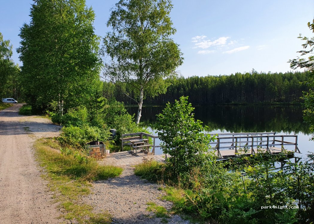 (820 29) Stråtjära - 111 LÖVTJÄRA — foto 2