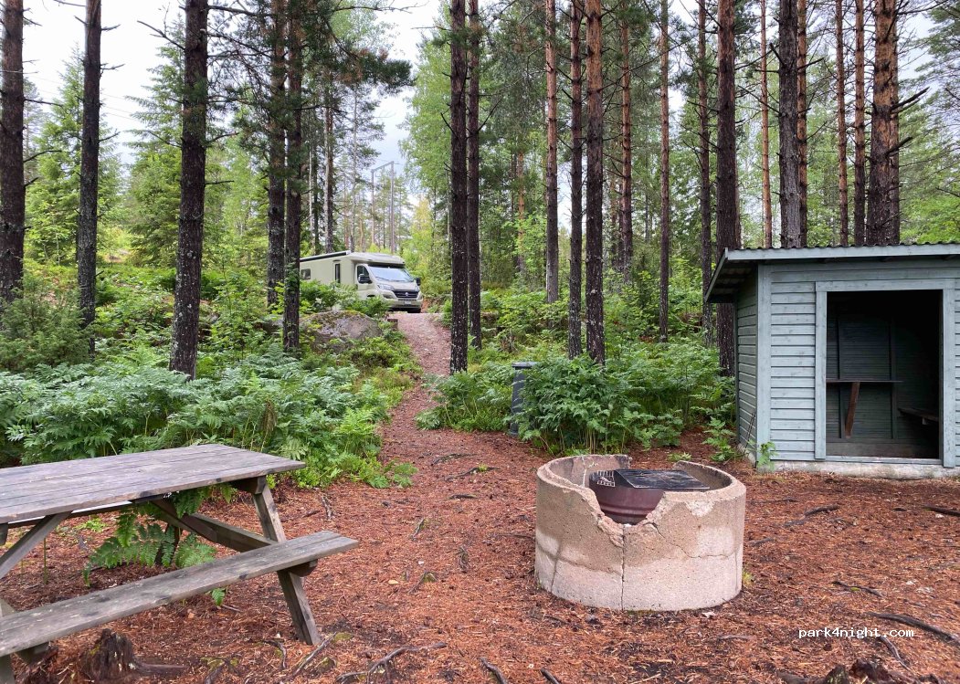 (820 29) Stråtjära - 111 LÖVTJÄRA — foto 4