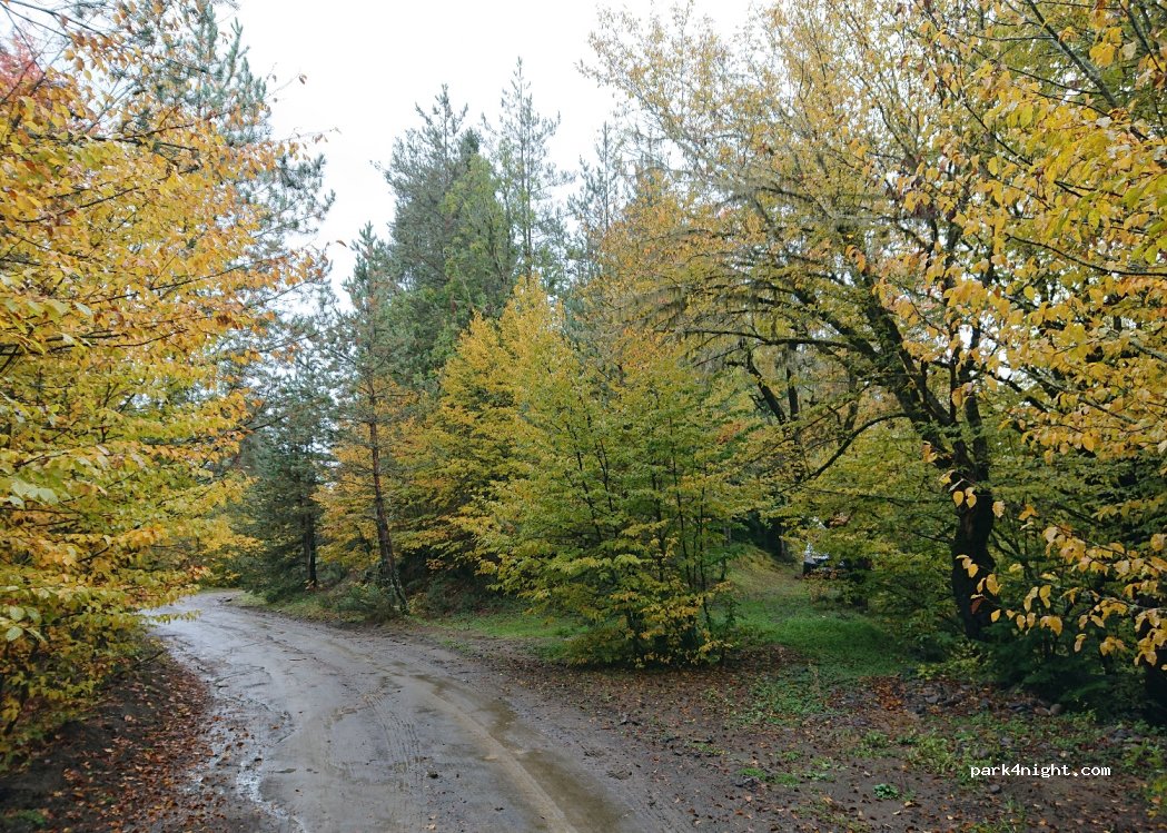 ()  - Kutaisi-Baghdati-Abastumani-Benara — foto