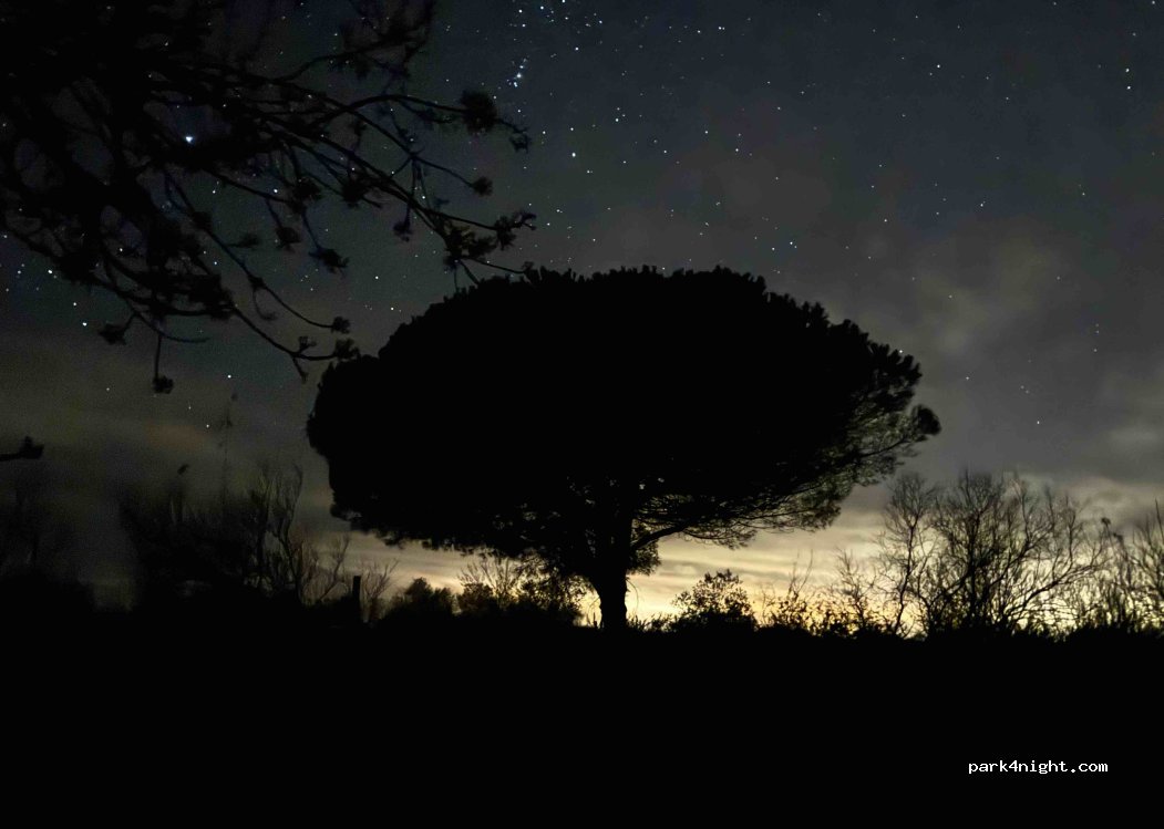 (34130) Mauguio - Chemin de Plagnol — foto 5