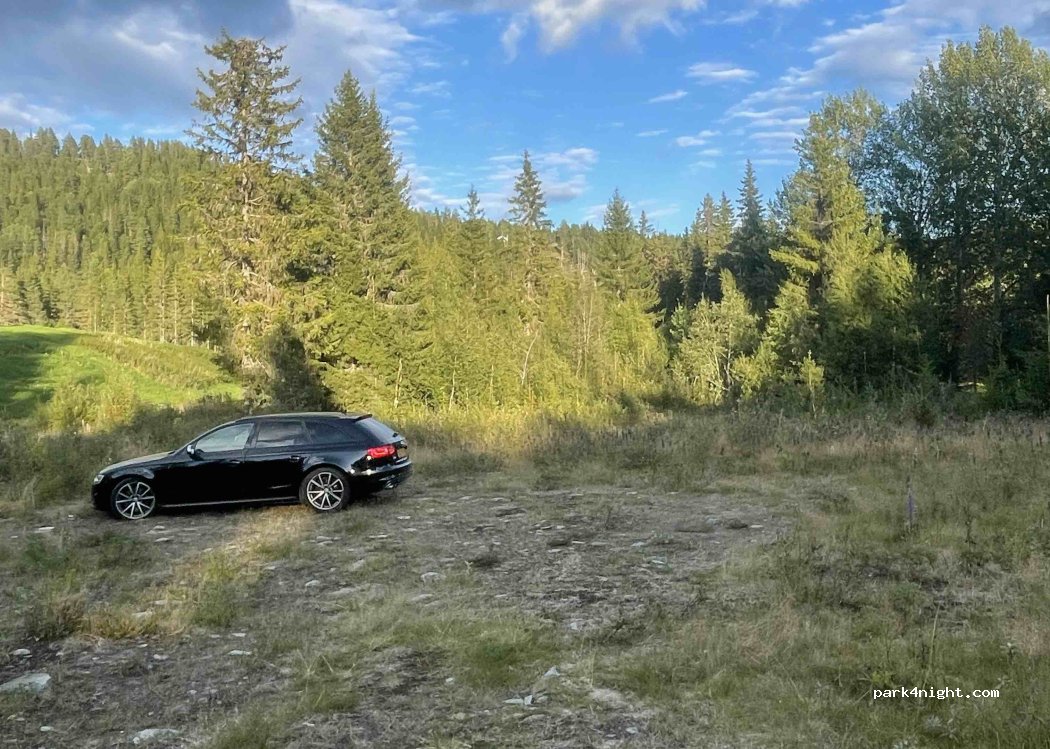 (3890) Vinje - 154 Dalenvegen — foto 4