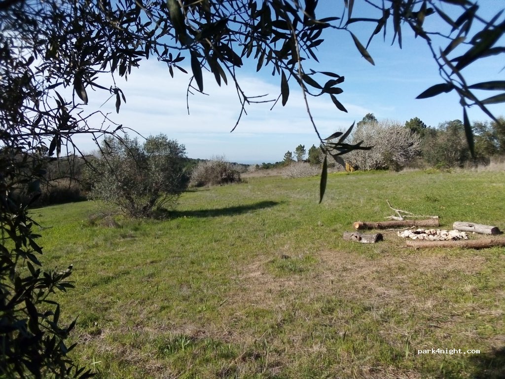 Fauna Sesimbra - Camping — foto