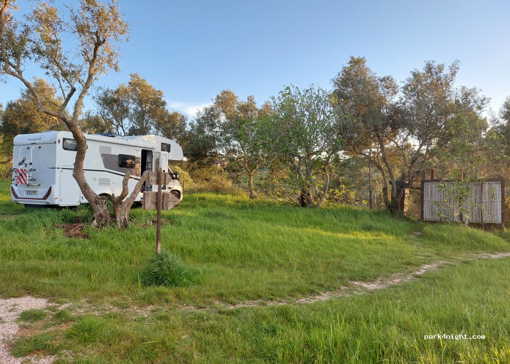Fauna Sesimbra - Camping — foto 5