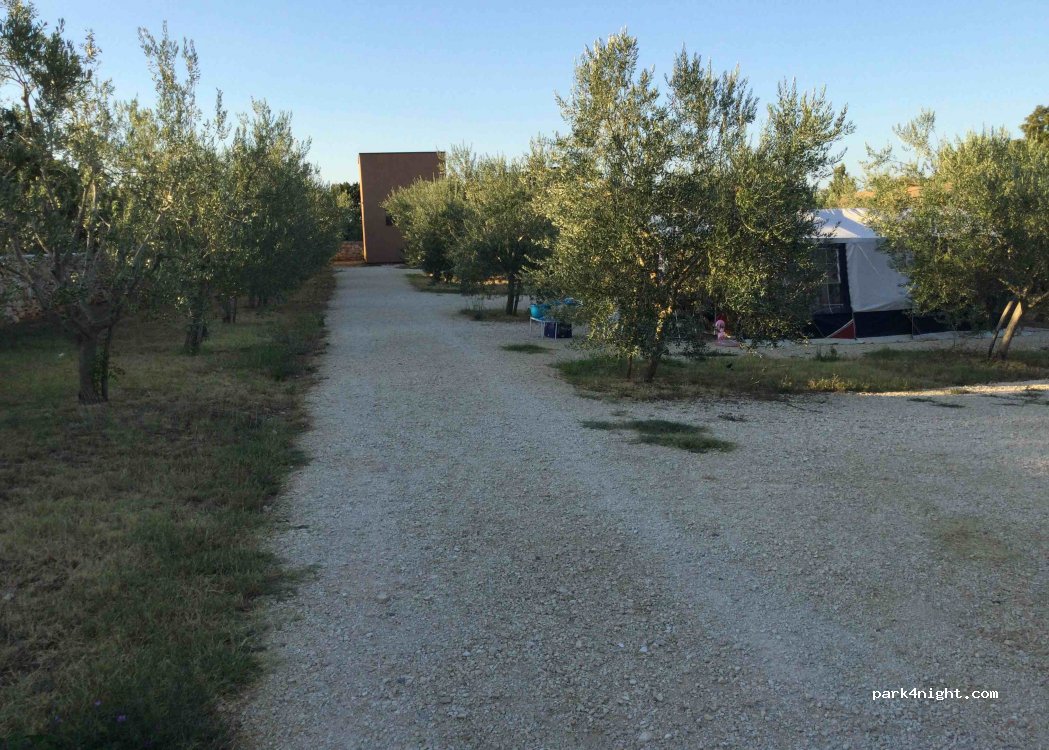 PAPAFIGO Glamping and restaurant — foto 2