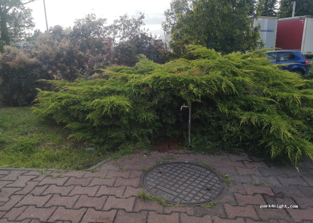 (62-060) Stęszew - 2 Bukowska — foto