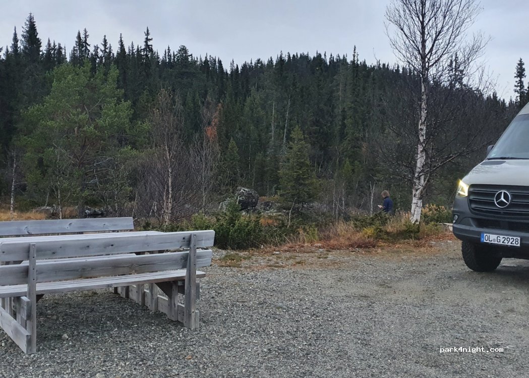 (3540) Nesbyen - 1842 Vassfarvegen — foto 2