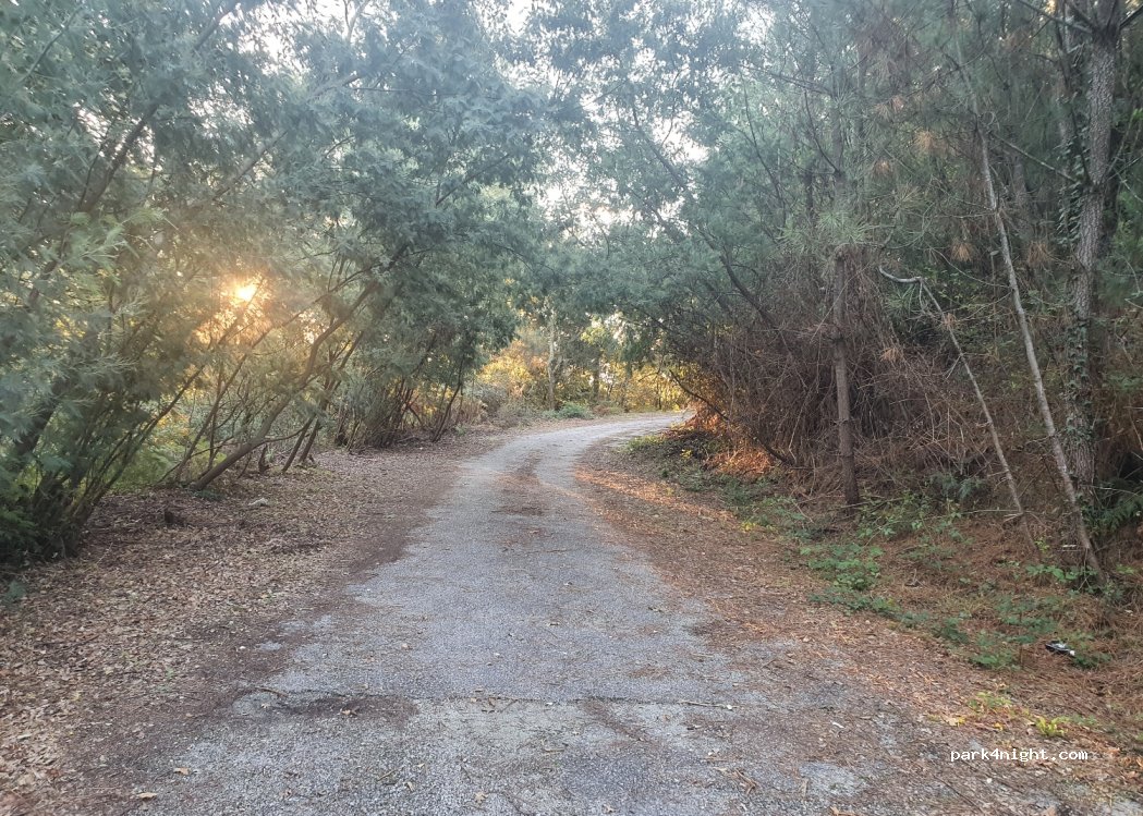 (4550) São Martinho de Sardoura - — foto 2