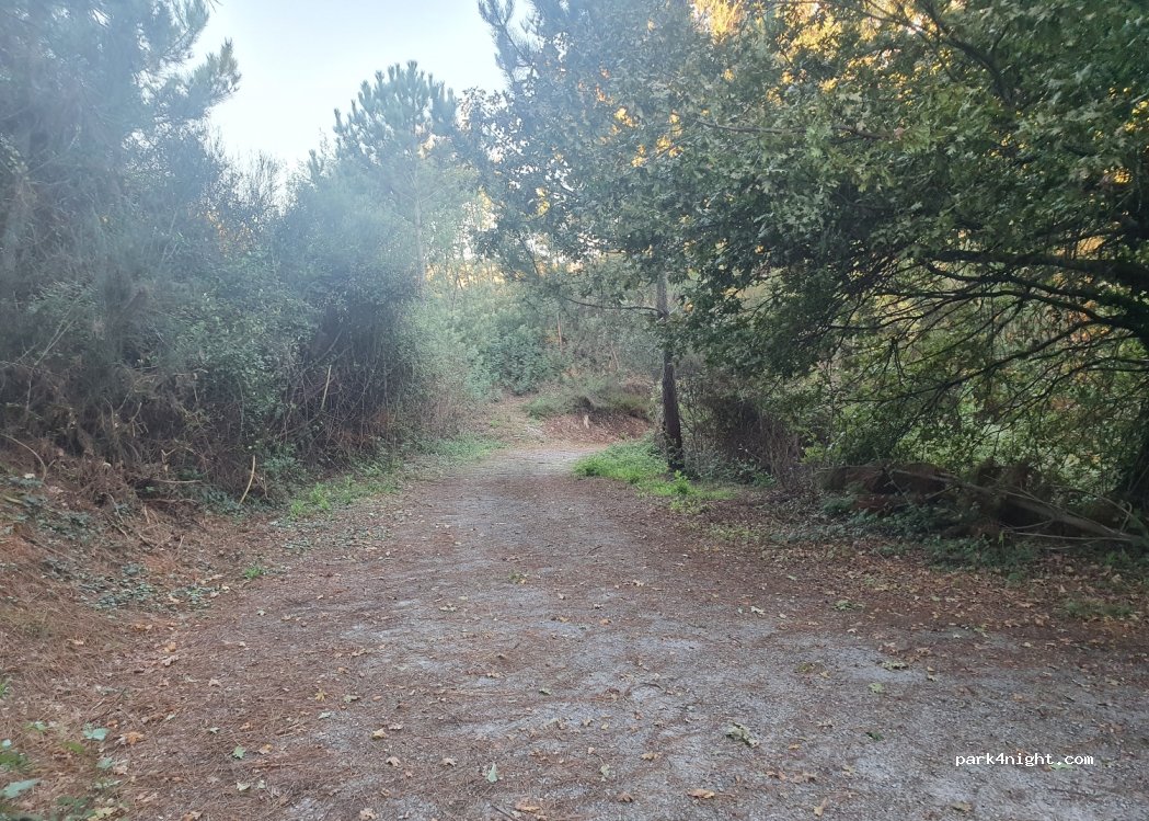 (4550) São Martinho de Sardoura - — foto 3