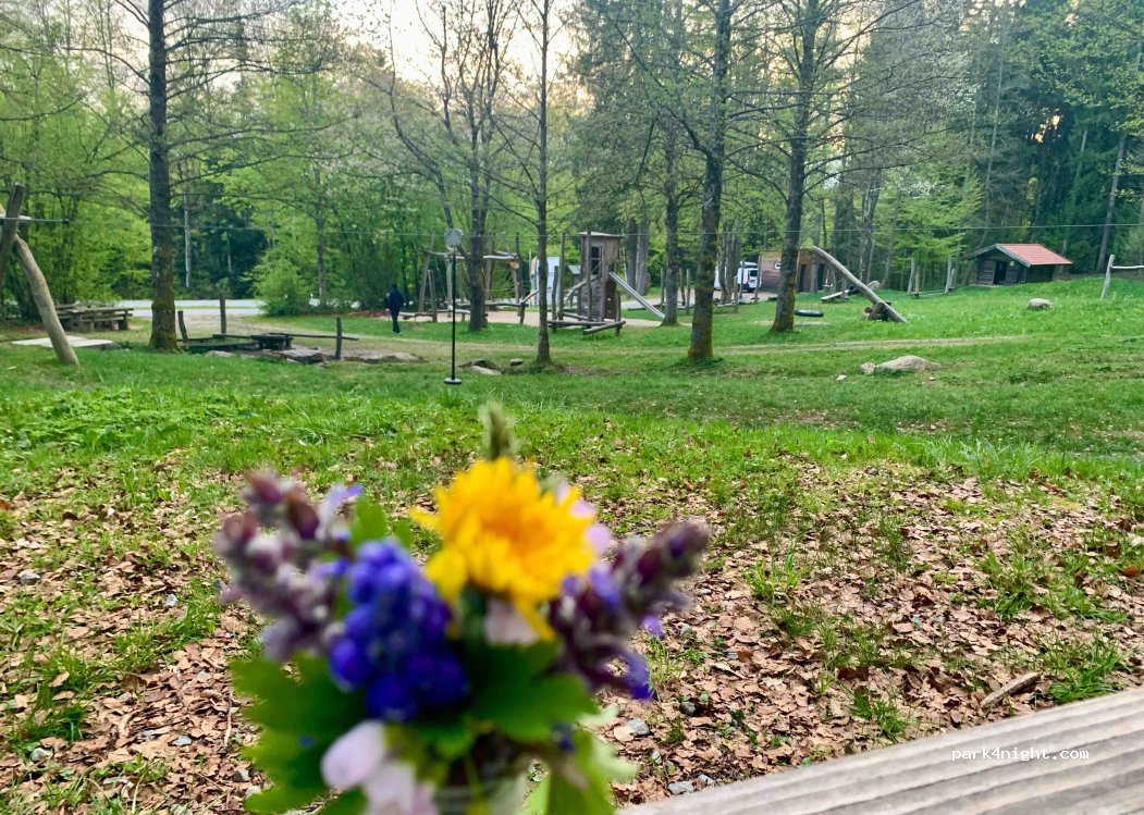 (94261) Kirchdorf im Wald - 12 Kirchdorföd — foto 5