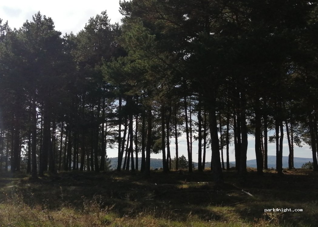 (34810) Aguilar de Campoo - 63 Diseminado Diseminados — foto