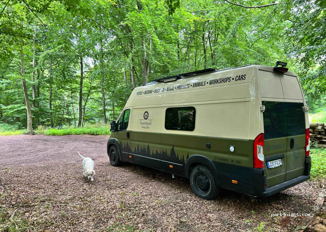 (23701) Süsel - K61 — foto 3