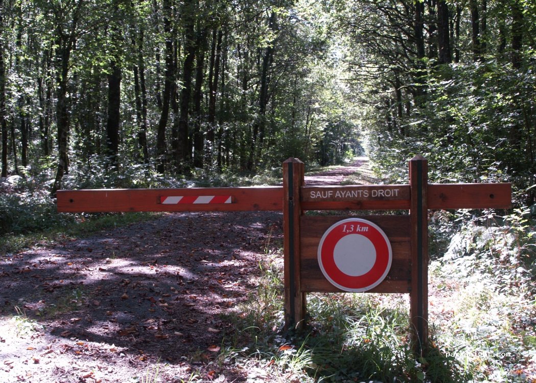 (86700) Rom - Unnamed Road — foto 2