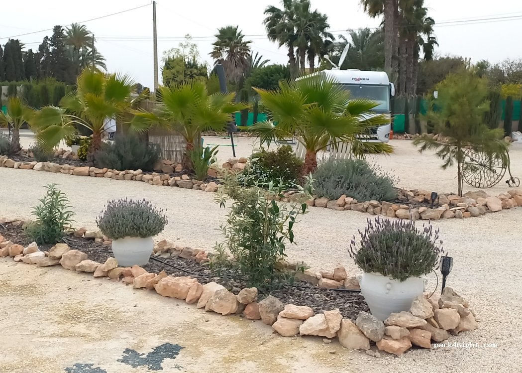 Camper Oase Puravida — foto 4