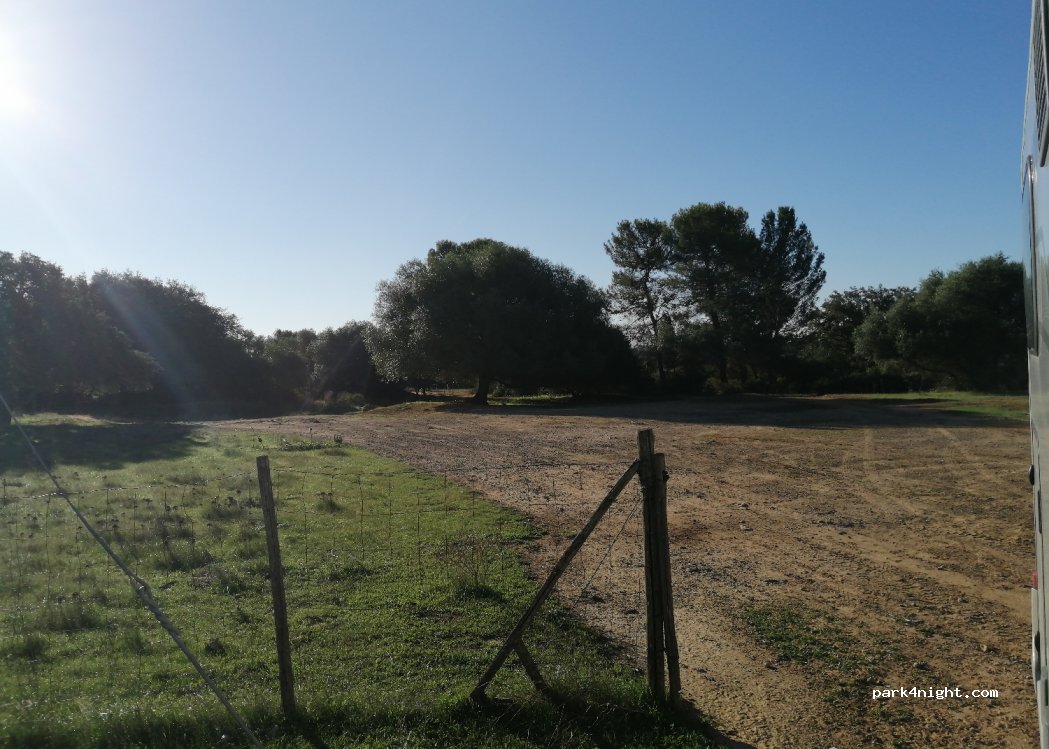 (95041) Santo Pietro - — foto