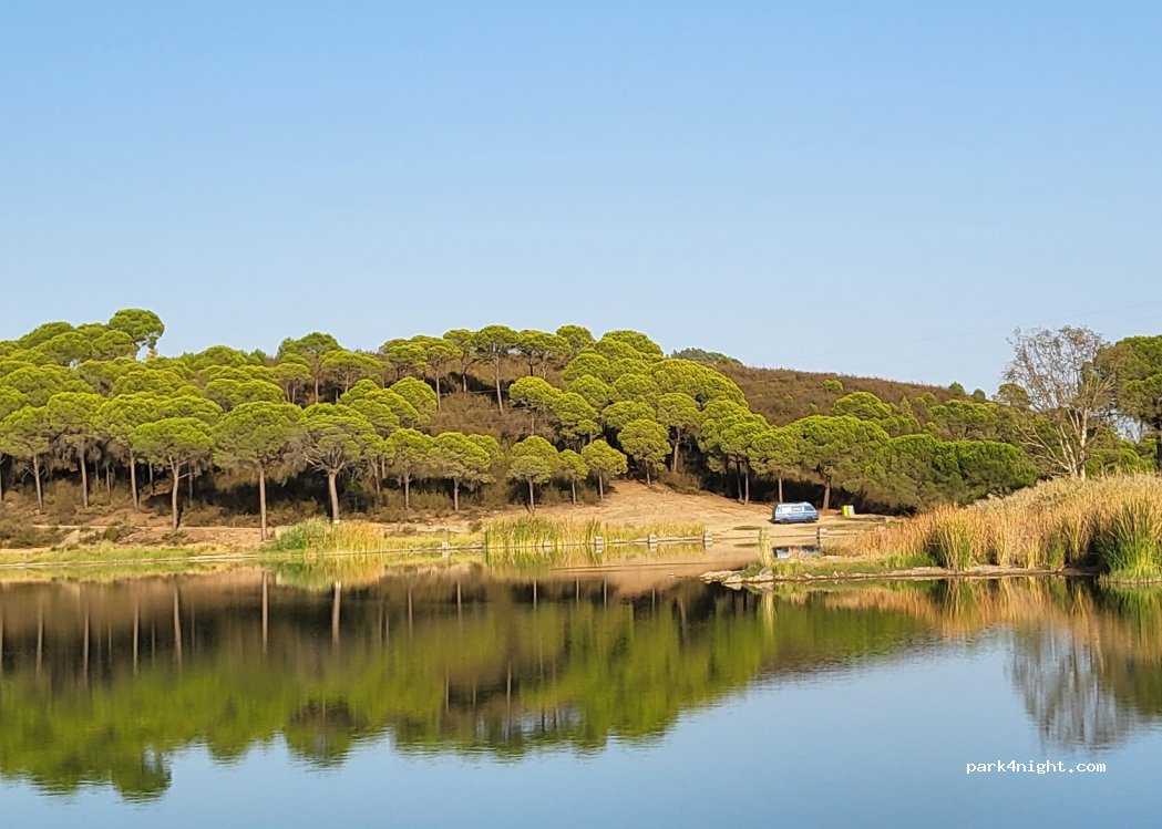 (21650) El Zumajo - Unnamed Road — foto